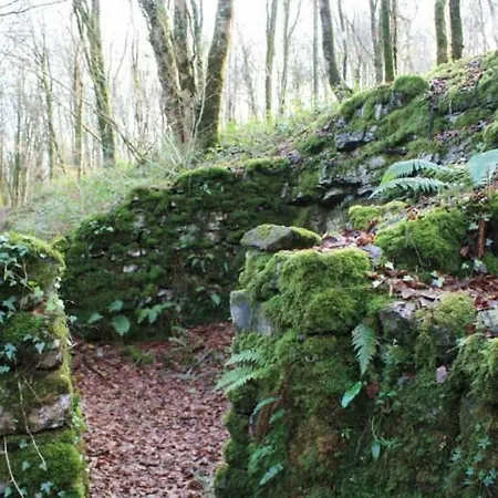Fionn Radharc Castlepollard