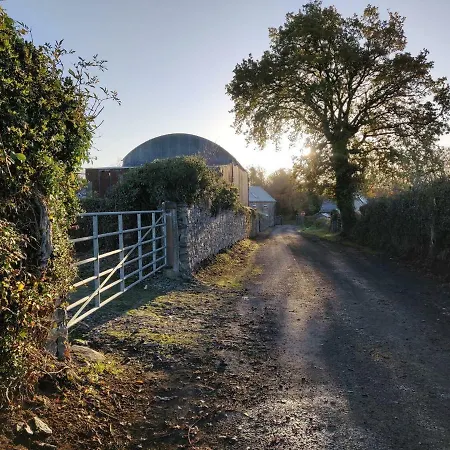 Fionn Radharc * Castlepollard